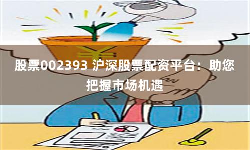 股票002393 沪深股票配资平台：助您把握市场机遇